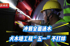 水利攻坚惠民生 犬木塘水库工程假期建设“不打烊”