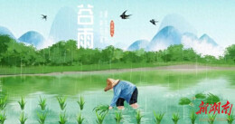雁城札记丨“走谷雨”，留住一抹春色