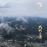 这条运河下，藏着一个“水下森林”！
