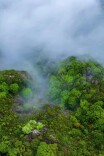 Misty spring reveals the quiet beauty of Kuliang