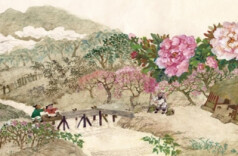 对话蔡皋：越过万重山，仍做看花人