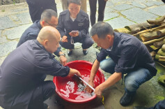 绥宁一野生大鲵误入民宅 干群暖心护送“回家”