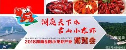 好水出好虾：君山小龙虾撑起大产业