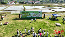 五一“株”多精彩⑯|仙庾岭省级旅游度假区五一假期火热出圈