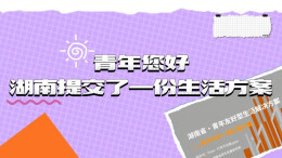 青年您好，湖南提交了一份生活方案