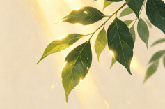 快时代·五一慢时光（13）丨一湖唱古今，星光耀河岸