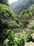 快时代·五一慢时光（15）丨 褒忠山记（三首）