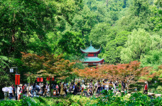 青山绿水间  悠然享假期