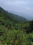 快时代·五一慢时光（12）丨登褒忠山