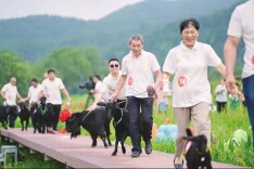 “羊”村飘出的美丽晨曲 | 湘江副刊·湘韵