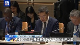 中方呼吁：防止AI成为少数富裕国家或群体的“游戏”