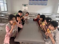 衡南县泉湖回龙小学开展劳动实践活动