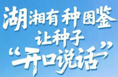H5丨湖湘有种图鉴 让种子“开口说话”