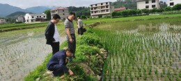 绥宁县关峡苗族乡：党建领航兴农耕 科技助耕促振兴