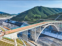 国内首座！平陆运河上，有座野‍生动物专属通道桥