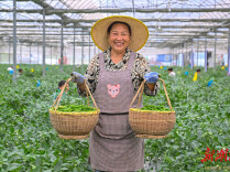 湖湘有种②丨一辣知湘味 万籽蕴匠心