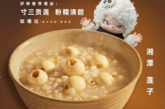 家乡好物 湘潭莲子