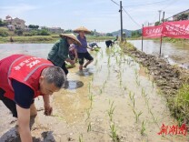 人保财险娄星支公司联合区财政局、区农业农村局开展田间助耕活动