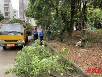 娄底市城管执法支队住建大队党支部开展主题党日活动