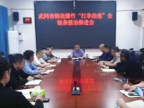 武冈市启动烟花爆竹“打非治违”全链条整治行动