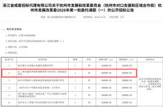 杭州要建第二机场？20万元招标公告背后是一盘大棋