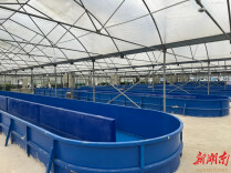 滨洲新村：盘活闲置土地 激活乡村振兴新动能