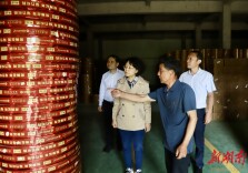程蓓到邵阳县督导安全生产工作