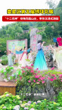 视频|娄星区第五届绣球花展在凤凰山庄开幕