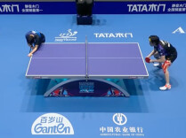 国乒男团3比0完胜韩国队，晋级四强！