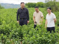 实干担当兴乡村 科技赋能促振兴