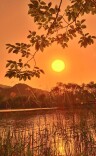 晴空映晚霞，夕阳醉京城