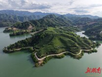 寻茶记丨走进安化：看千年黑茶如何泡出284亿产值