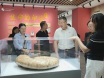从“一年一次”到“天天在场”，郴州这所小学长出了一座“未来实验室”