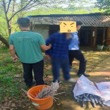 雨湖警方破获一起工地电缆盗窃案