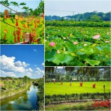 夏遇乡野｜打卡同汇长龙生态欢乐园，赴一场田园清凉之约！