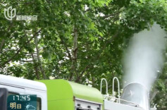 又到果毛飘絮季！上海9个区已完成首轮吹冲作业
