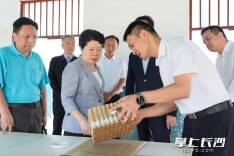 吴桂英在宁乡市督导烟花爆竹、危化品领域安全生产工作