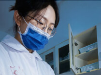 护士工位定格照｜⑥每一次核对，都是一份责任
