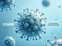 南极一艘游轮暴发汉坦病毒，我国疾控专家紧急解读传播风险与预防措施