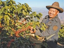 为了这杯“喷枪煮咖啡”，外省游客追到怒江边