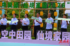 武陵源：天子山“空中田园”插秧节 农旅融合乐趣多