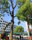 新田县人民医院开展环境整治工作