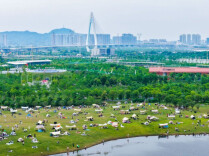 Daze Lake Wetland Park: A Poetic Late Spring Escape for Families on Spring Break