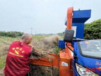 昔日金色花海 今时丰收画卷 珠晖区衡州路街道秸秆“变废为宝”有良方