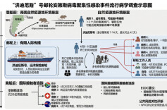 张文宏解析邮轮安第斯疫情传播链！感染者或登船前潜伏，我国输入风险如何？