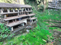 春山爽居 花海畅游｜咖啡的山地“狂想曲”