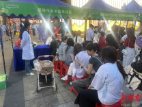 “中医夜市”搬进商圈，健康守护“零距离”