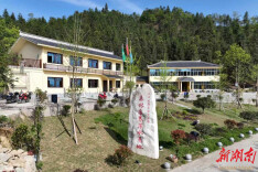洞口县罗溪国有林场萍水康养基地：五月花海漫山坡 森林康养醉游人