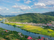 娄底：开放型经济攀上新台阶|湖南日报头版头条
