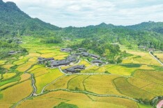 隔雾相望，南岳的石上“留言簿”|湘江副刊·潮头·你好！湖南国保（36）